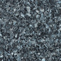 Labrador Blue Pearl